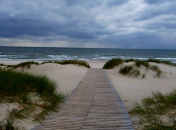 Takas link Baltijos jūros, šventojoje