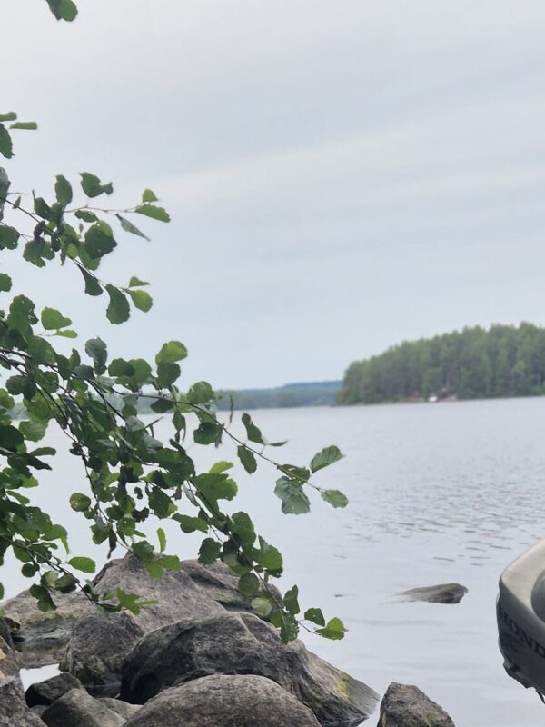 Vasarnamis, pirtis ir valtis Suomijoje prie ežero